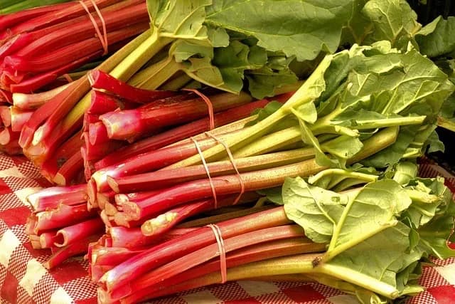Anthrachinon