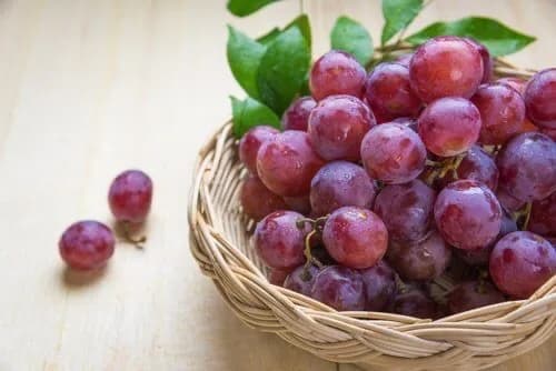 Resveratrol